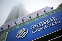 (4分钟教程)巴音郭楞州政府网_哔哩哔哩-3